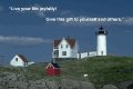 Lighthouse 8